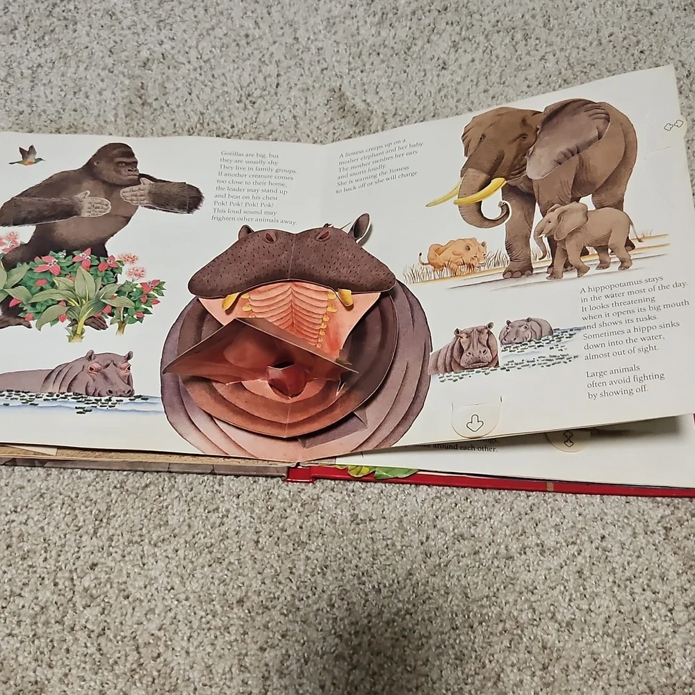 Children's Book Set - Animals Showing Off & Out of the Box Learning And Craft